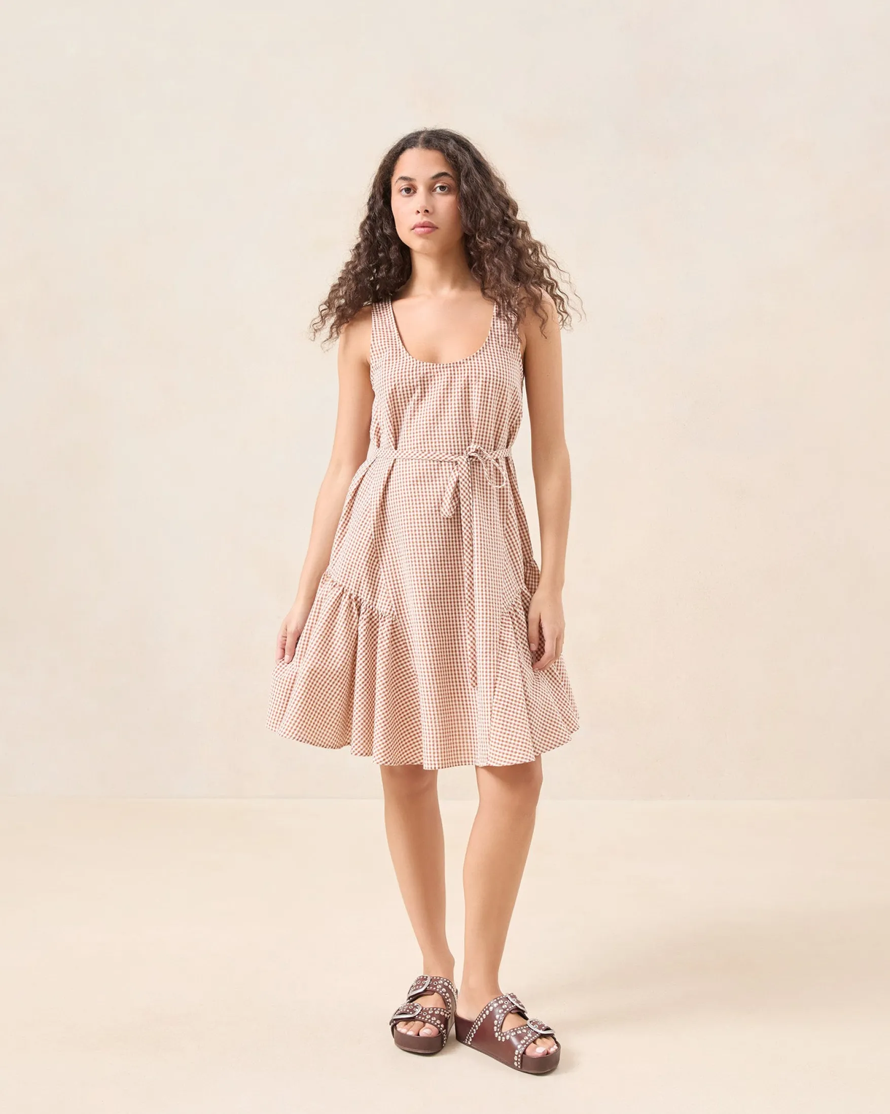 Online Avi Brown Gingham Swing Dress Dresses